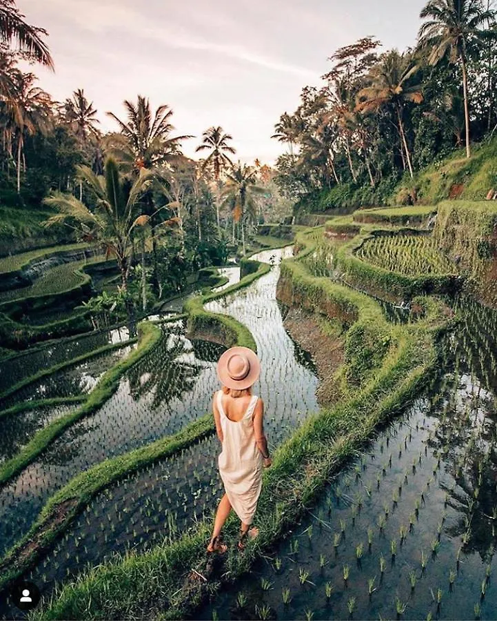 De Dauh Villa Ubud